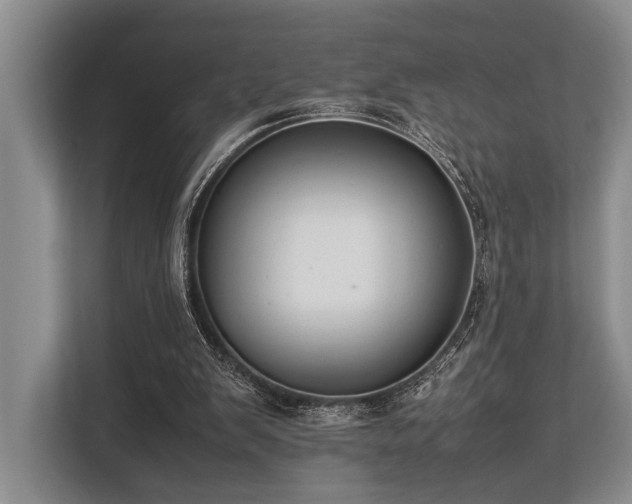 X0000113780103200909231323