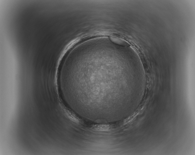 X0000113780104200909231323