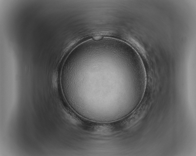 X0000113780107200909231323