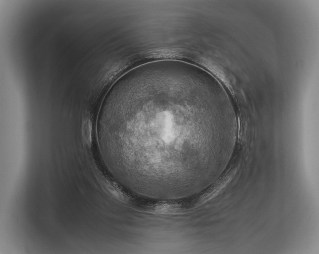 X0000113780109200909231323