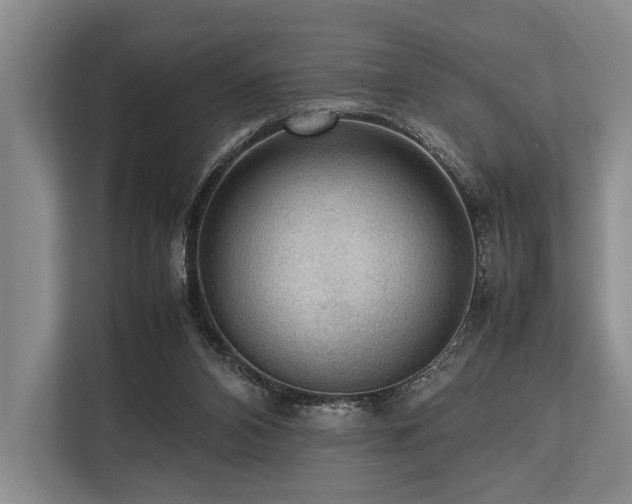 X0000113780112200909231323