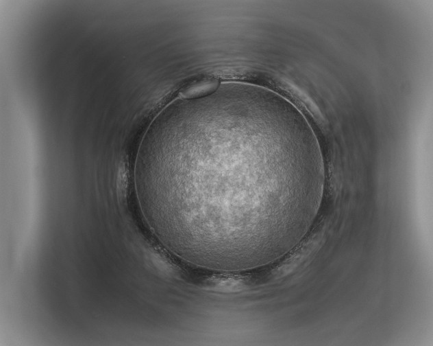 X0000113780113200909231323