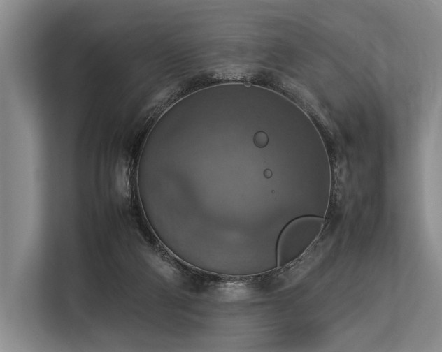 X0000113780114200909231323
