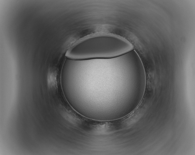 X0000113780116200909231323