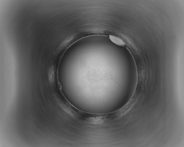 X0000113780120200909231323