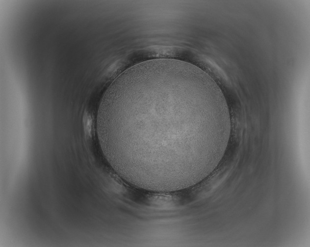 X0000113780123200909231323