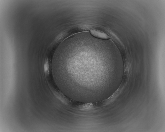 X0000113780124200909231323