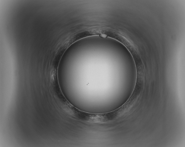 X0000113780125200909231323