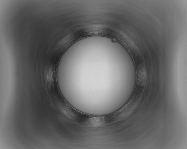 X0000113780126200909231323