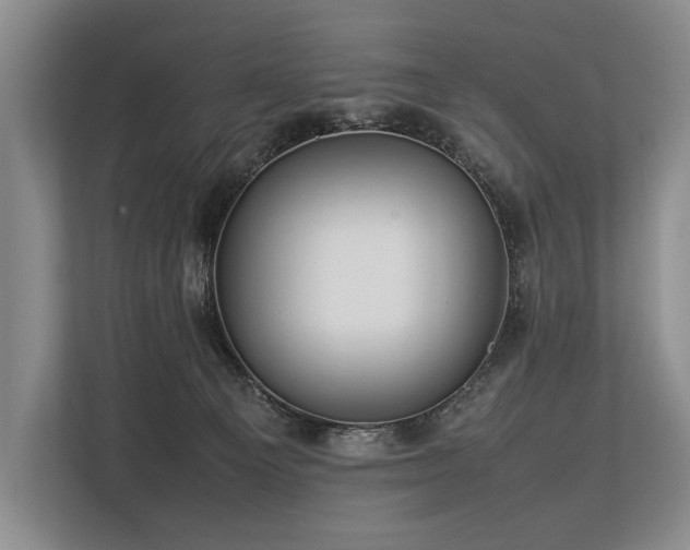 X0000113780129200909231323