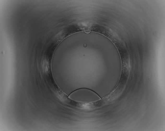 X0000113780130200909231323