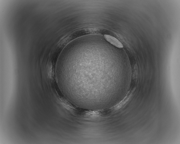 X0000113780140200909231323