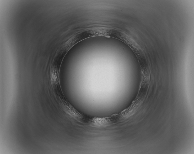 X0000113780141200909231323