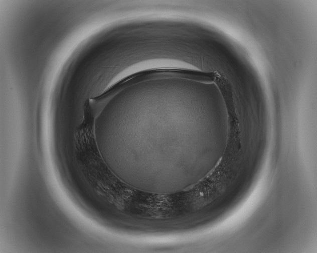X0000113780143200909231323