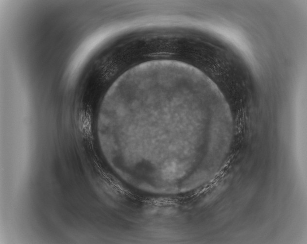 X0000113780146200909231322