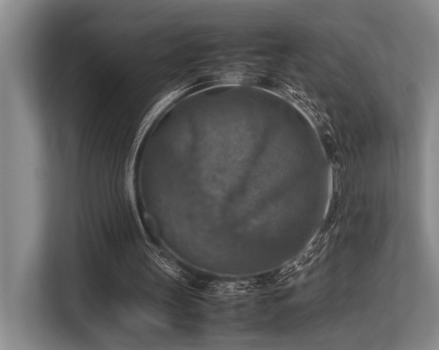 X0000113780147200909231322