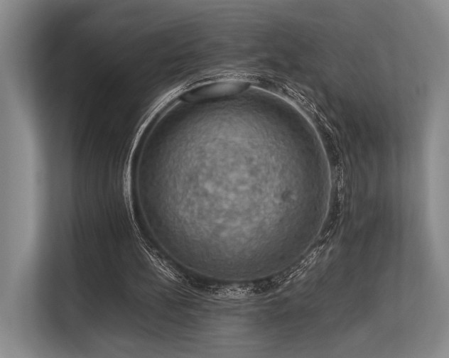 X0000113780148200909231322