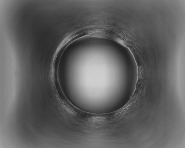 X0000113780150200909231322