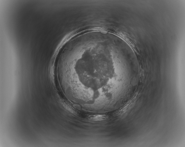X0000113780151200909231322