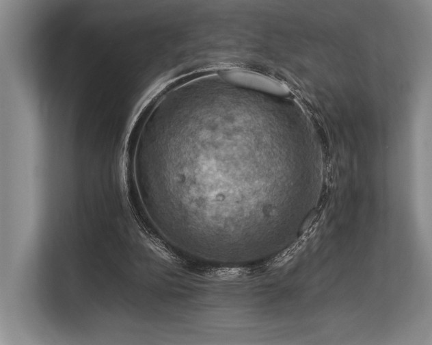 X0000113780152200909231322