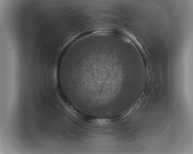 X0000113780154200909231322