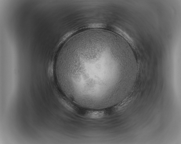 X0000113780155200909231322