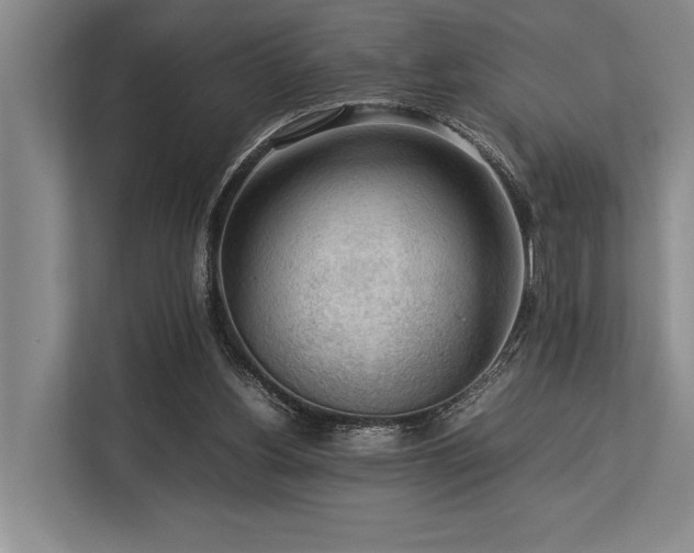 X0000113780156200909231322