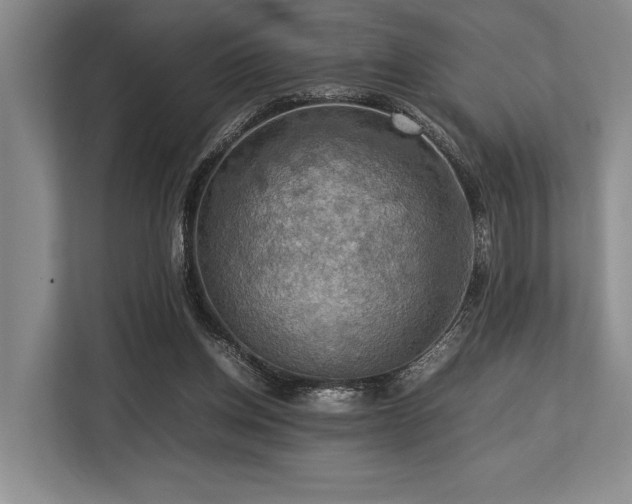 X0000113780158200909231322