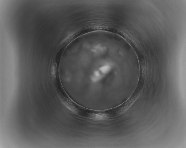 X0000113780165200909231323