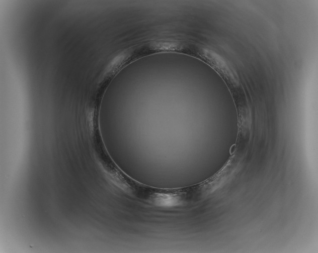 X0000113780167200909231323