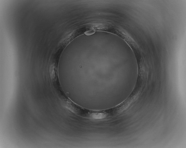 X0000113780169200909231323