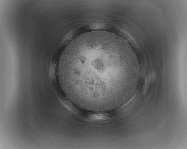 X0000113780171200909231323