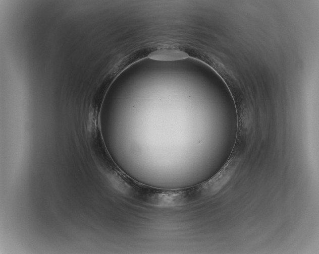 X0000113780172200909231323
