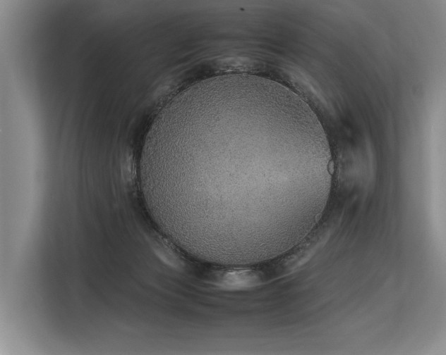 X0000113780173200909231323