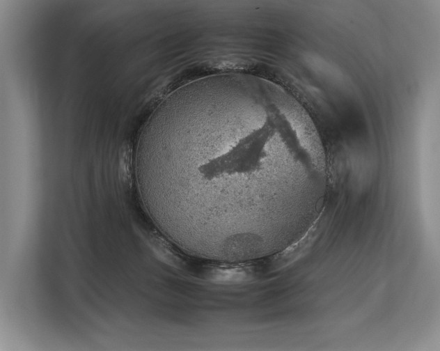 X0000113780175200909231323