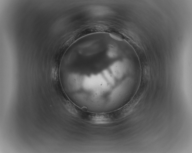 X0000113780177200909231323
