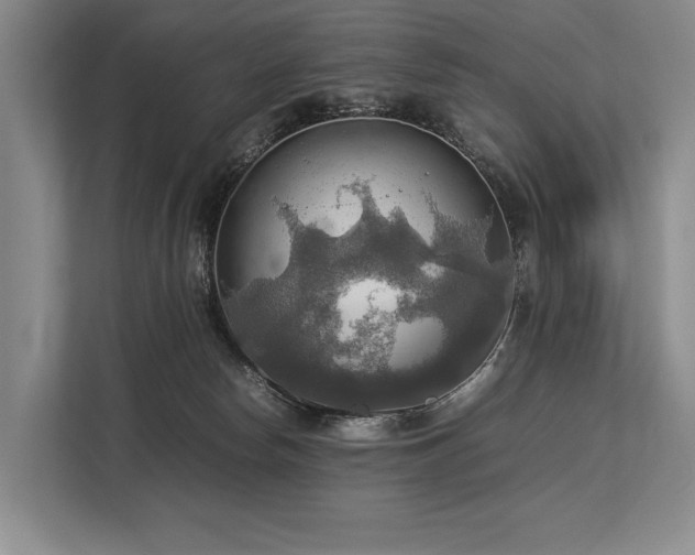 X0000113780178200909231323