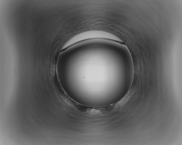 X0000113780180200909231323