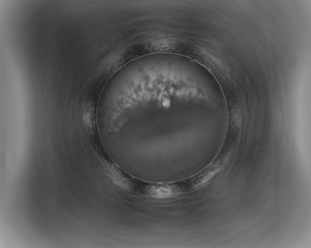 X0000113780181200909231323