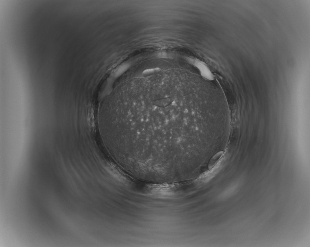 X0000113780182200909231323