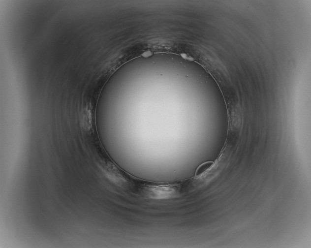 X0000113780183200909231323