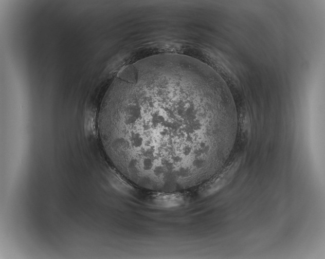 X0000113780185200909231323