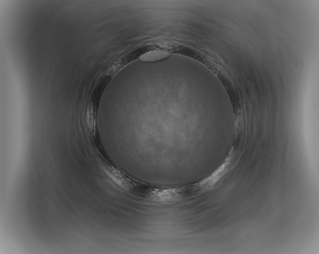 X0000113780186200909231323