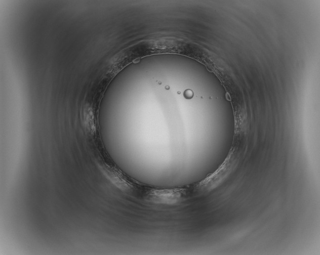 X0000113780187200909231323
