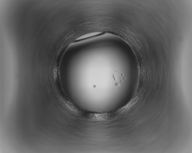 X0000113780188200909231323
