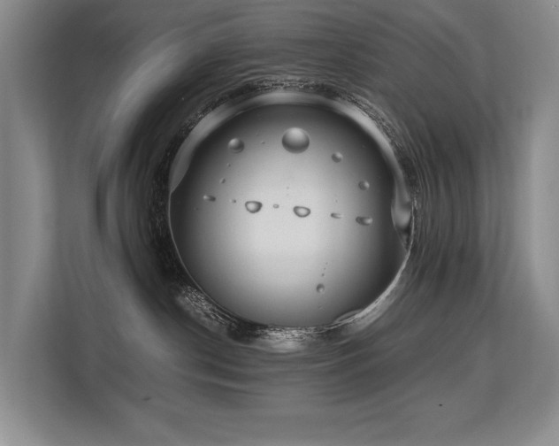 X0000113780190200909231323