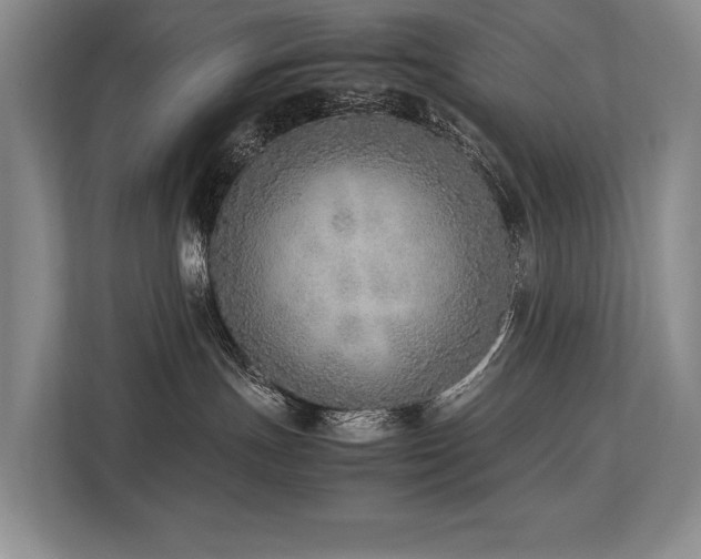 X0000113780191200909231323