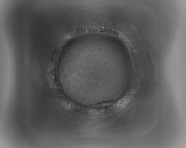 X0000113780192200909231323
