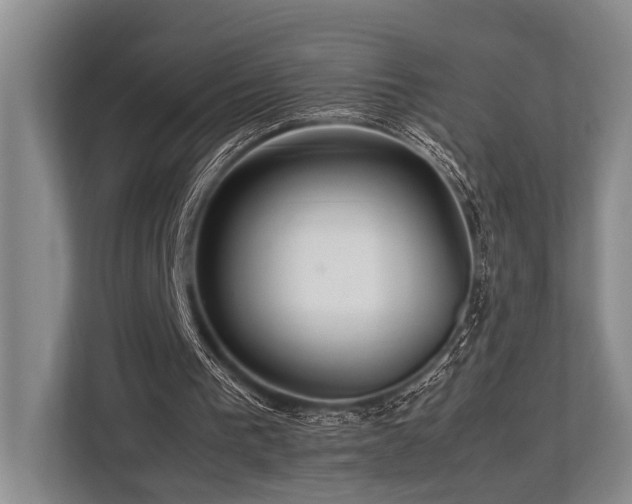 X0000113780193200909231322