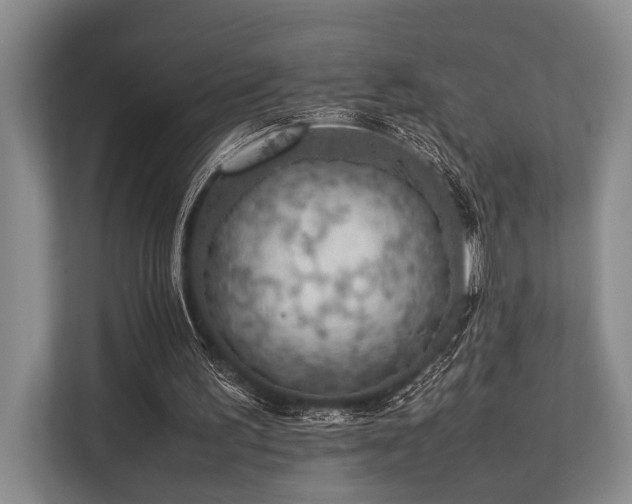 X0000113780195200909231322